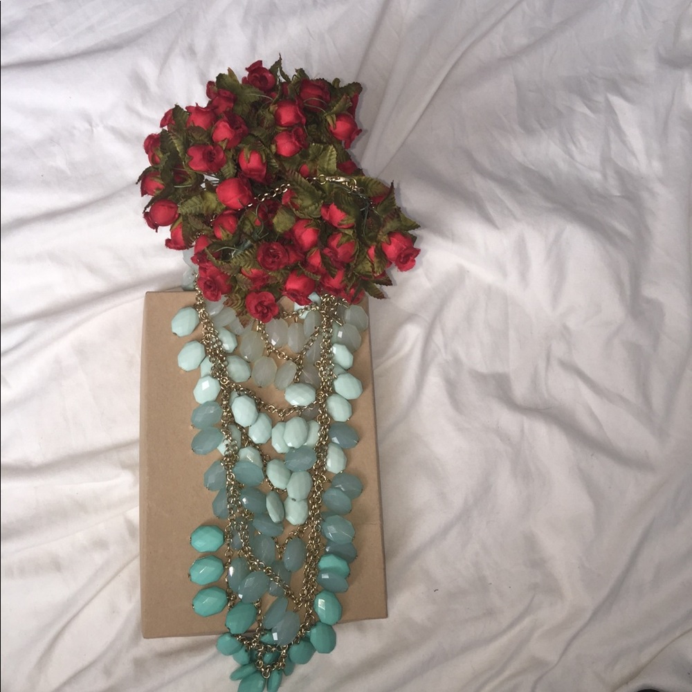 STUNNING necklace
